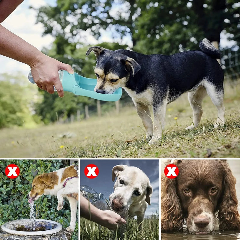Garrafa de Água Portátil Para Cães - Cuide do Seu Pet